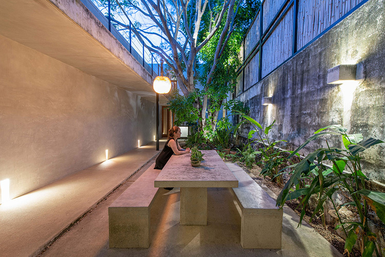 Img casa abejas 36